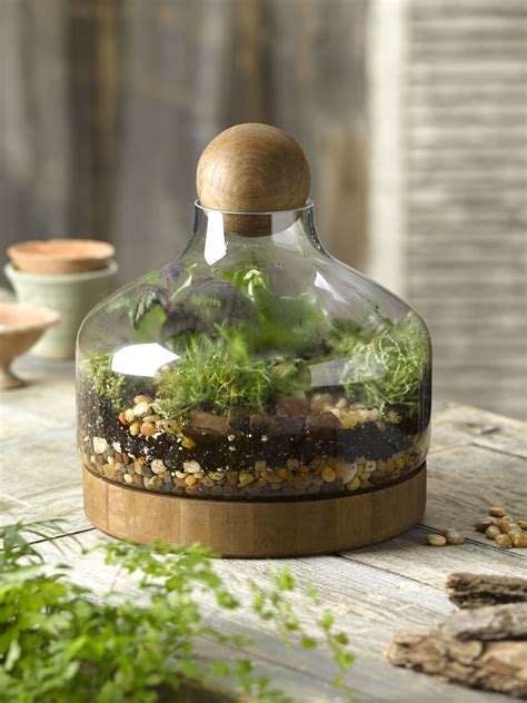 The Ultimate Guide to Creating a Stunning Large Glass Terrarium Jar
